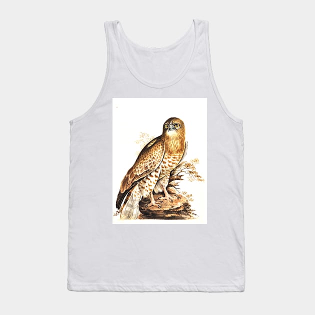 Short Toed Eagle by Elizabeth Gwillim Tank Top by Amanda1775